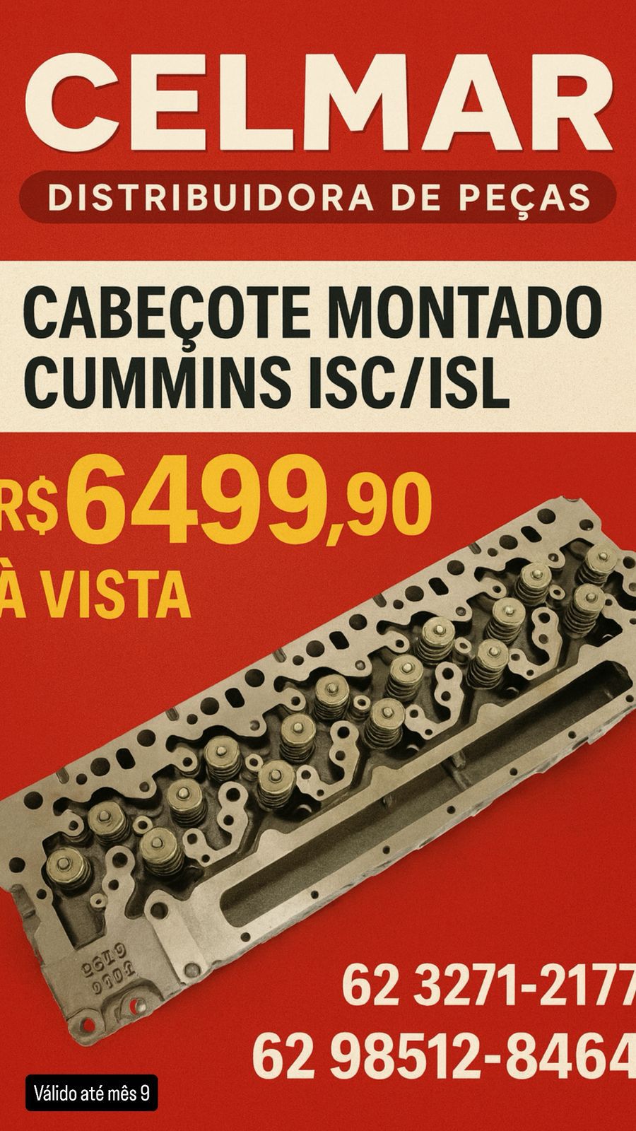 WhatsApp Image 2025-09-22 at 06.09.16 (1)